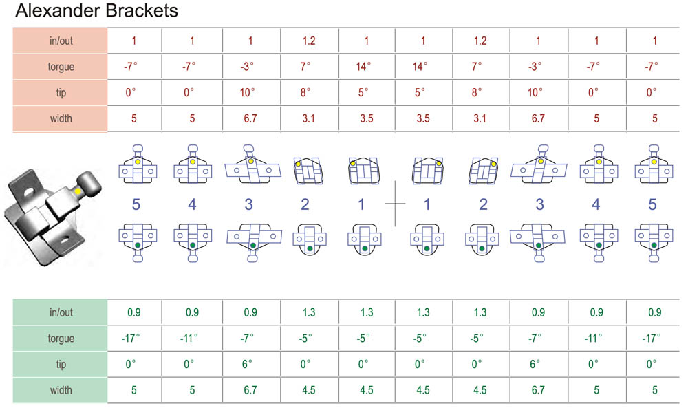 Wick Alexander Bracket, 80g Mesh Base 55 /20 Pcs (Unit)